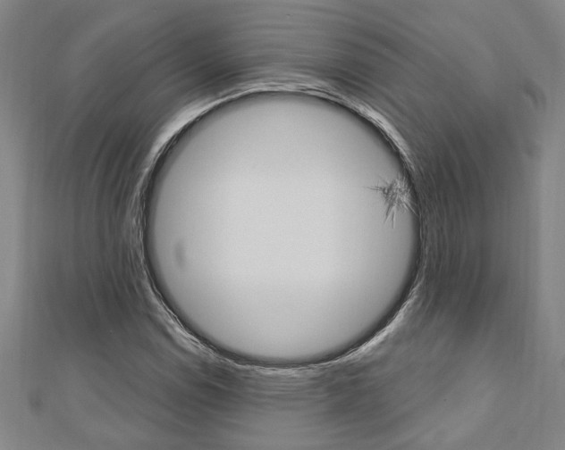X0000110961114200906191044