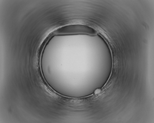 X0000110961116200906191044