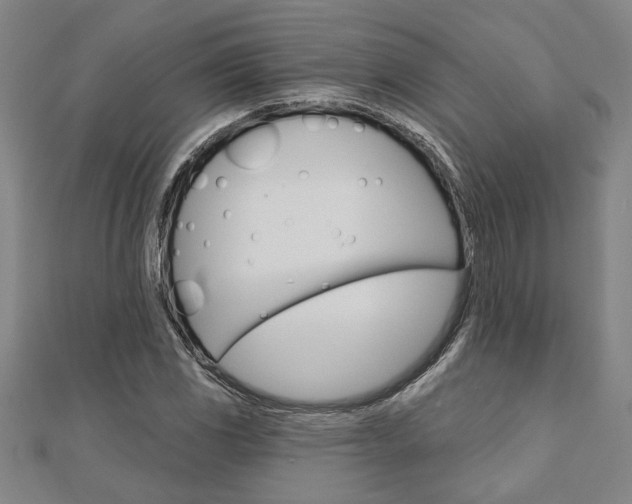 X0000110961117200906191044