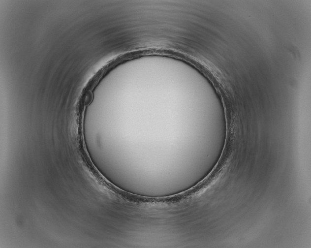 X0000110961118200906191044