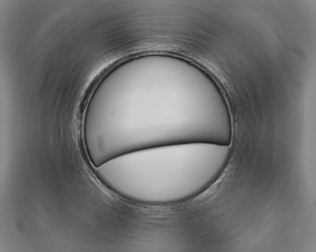 X0000110961119200906191044