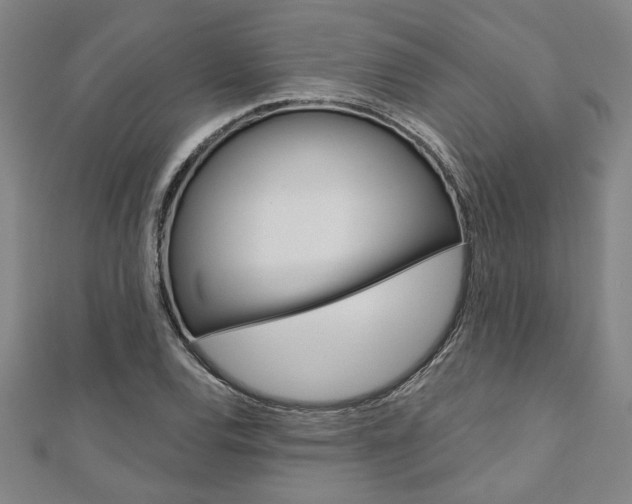 X0000110961120200906191044