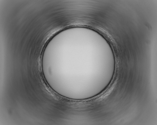 X0000110961121200906191044