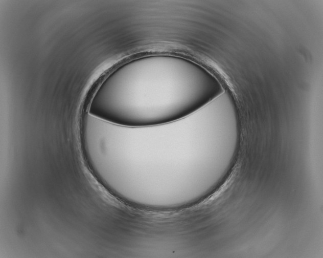 X0000110961122200906191044