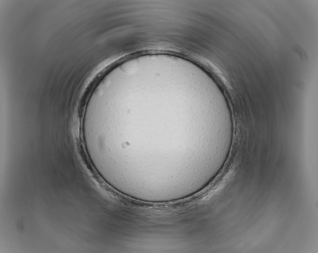 X0000110961125200906191044