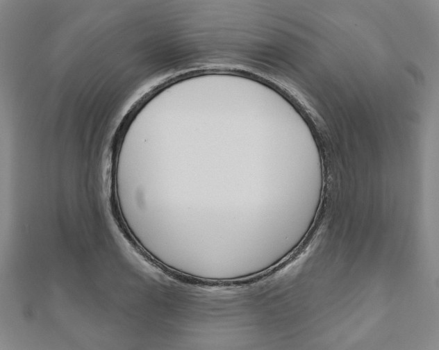 X0000110961126200906191044