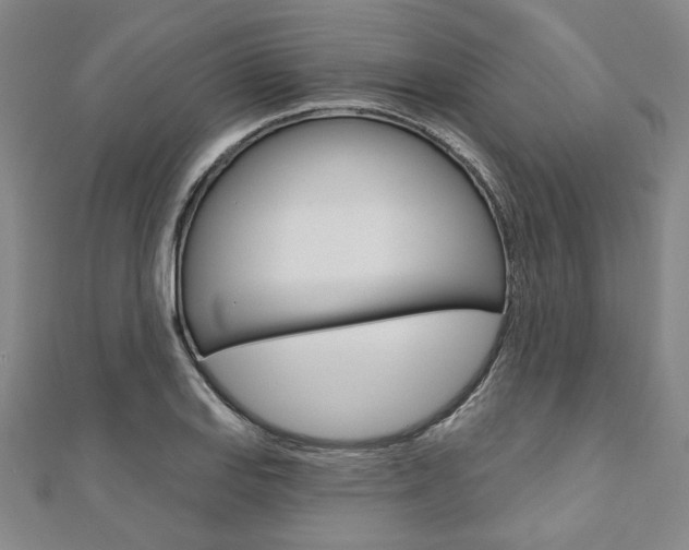 X0000110961127200906191044