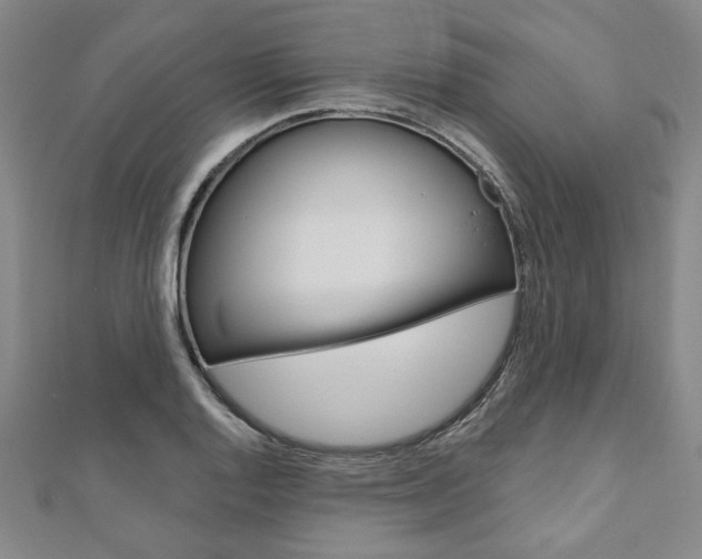 X0000110961128200906191044