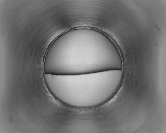 X0000110961129200906191044