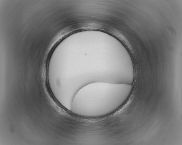 X0000110961130200906191044