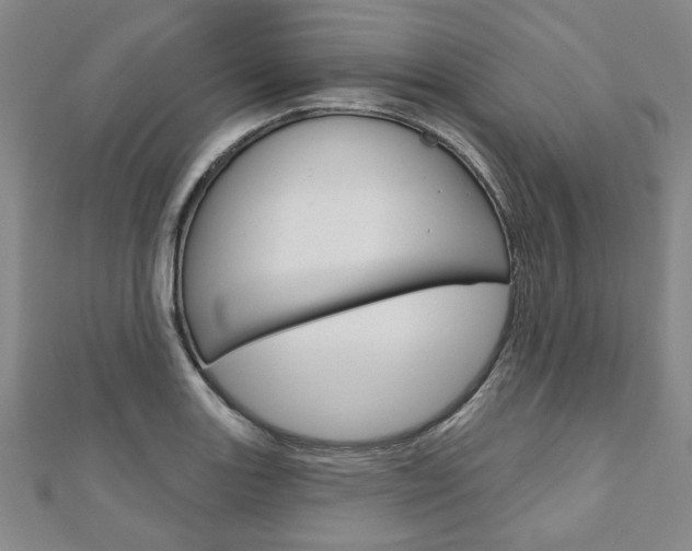 X0000110961131200906191044