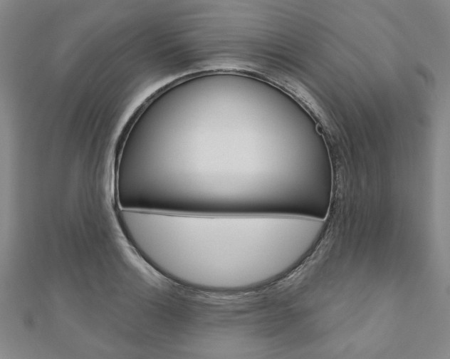 X0000110961132200906191044