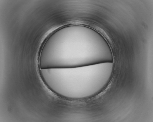 X0000110961133200906191044