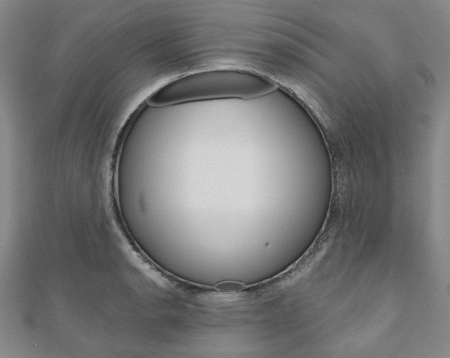 X0000110961134200906191044