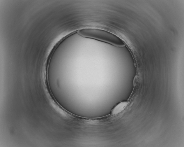 X0000110961136200906191044