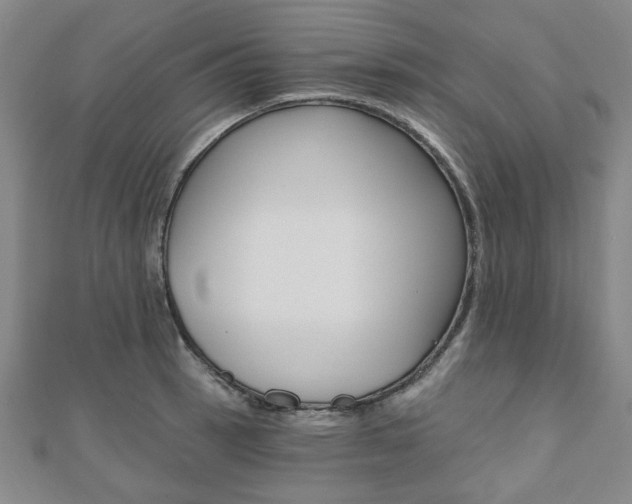 X0000110961137200906191044