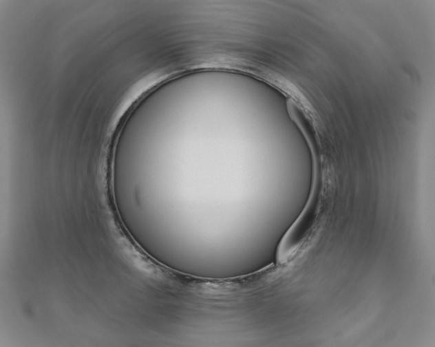 X0000110961138200906191044