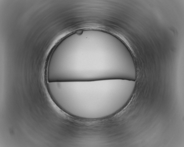 X0000110961139200906191044
