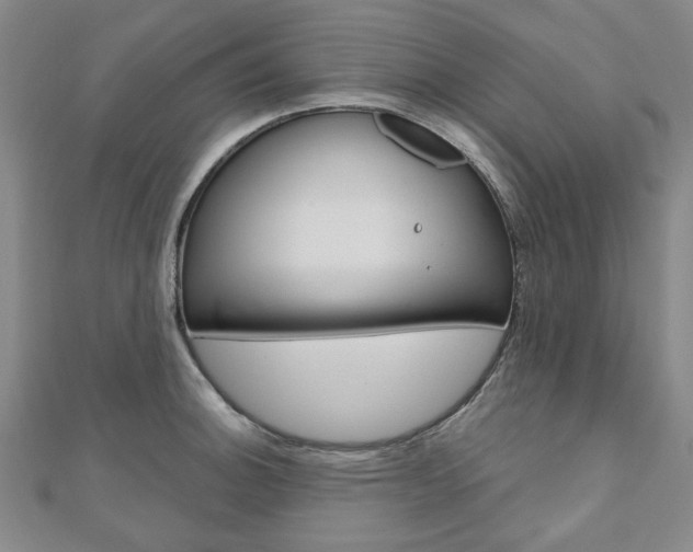 X0000110961140200906191044