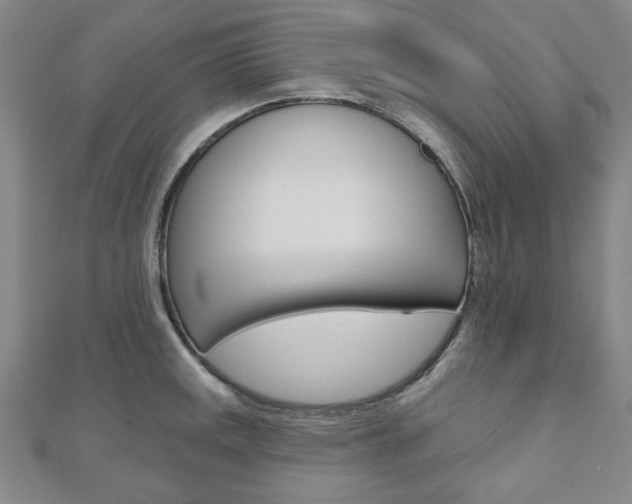 X0000110961141200906191044