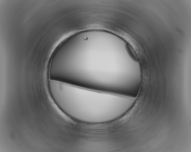 X0000110961142200906191044