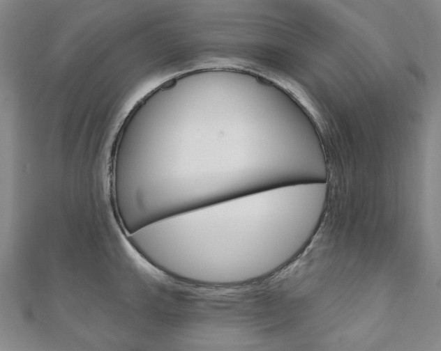 X0000110961143200906191044