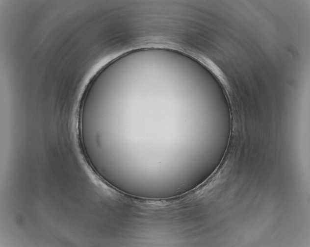 X0000110961144200906191044