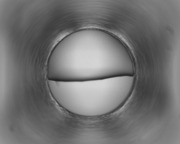 X0000110961145200906191044