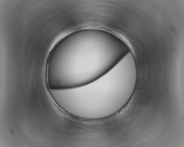 X0000110961146200906191044