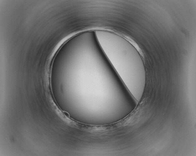 X0000110961148200906191044