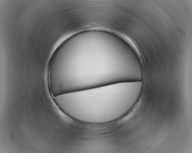 X0000110961149200906191044