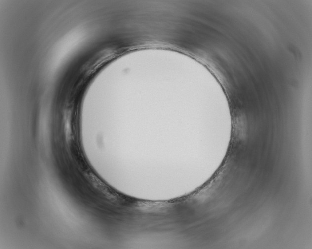 X0000110961150200906191044