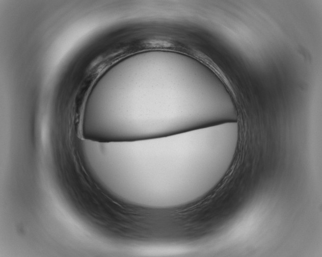 X0000110961151200906191044