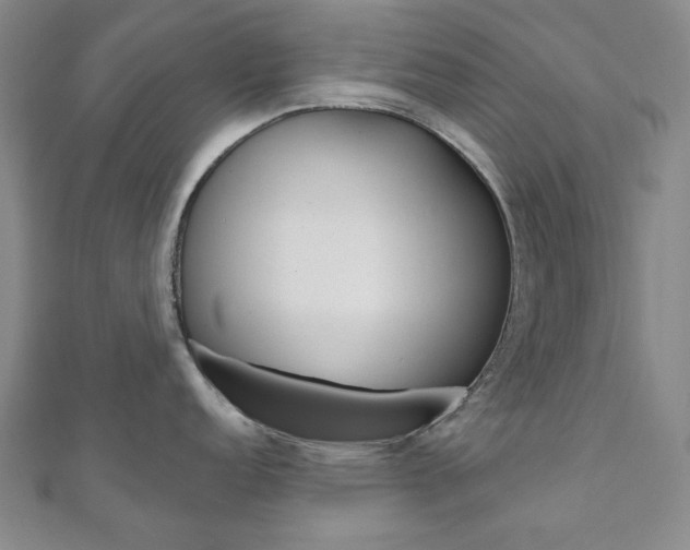 X0000110961152200906191044