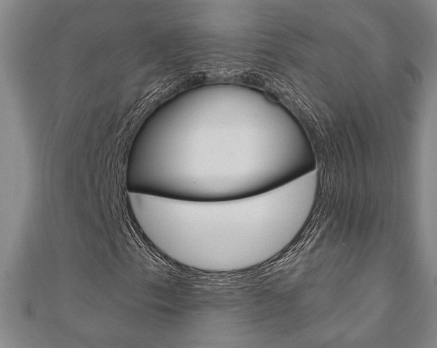 X0000110961153200906191044