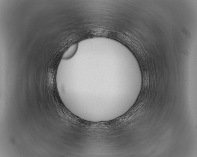 X0000110961154200906191044