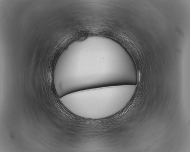 X0000110961155200906191044