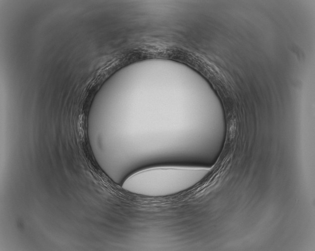 X0000110961156200906191043