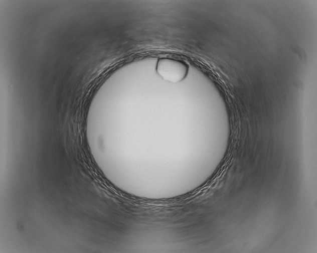 X0000110961157200906191043