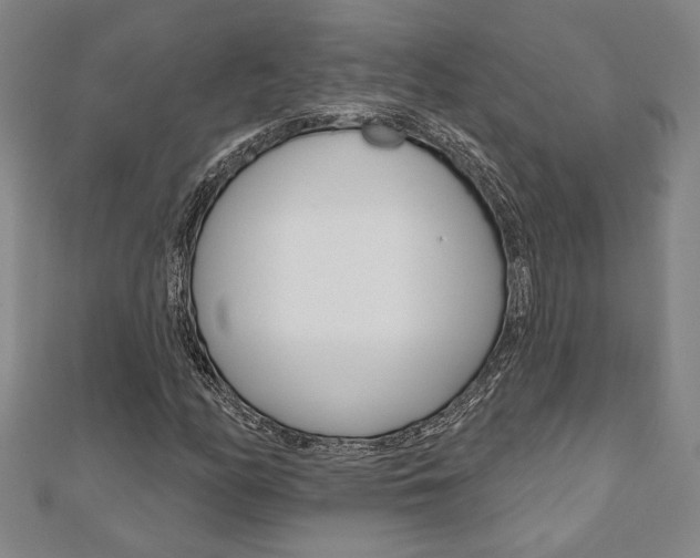 X0000110961158200906191043