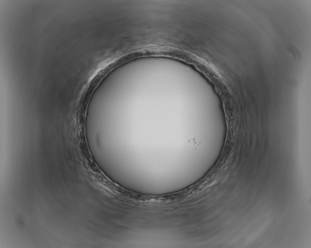 X0000110961160200906191043