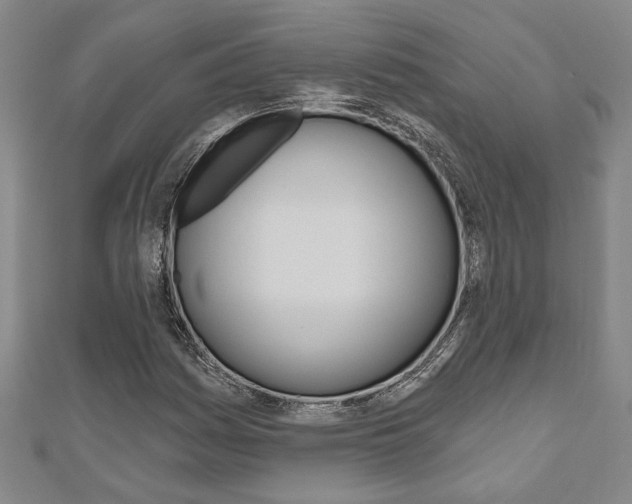 X0000110961161200906191043