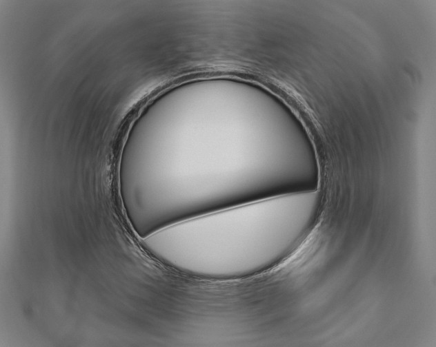 X0000110961163200906191043