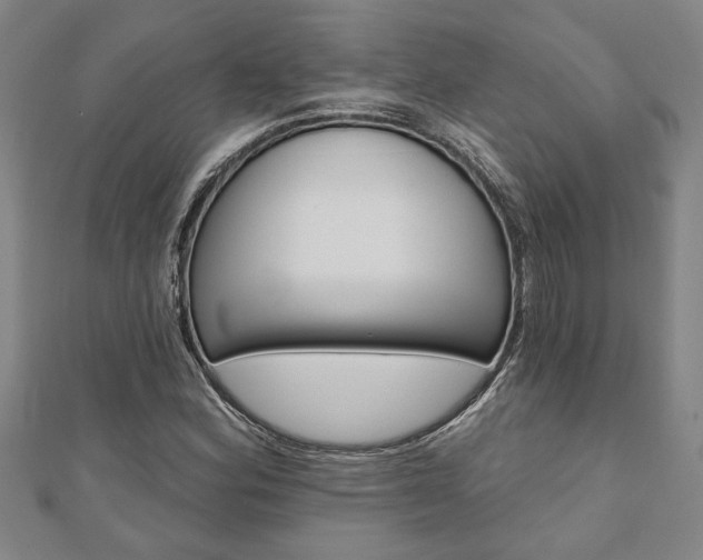 X0000110961164200906191043