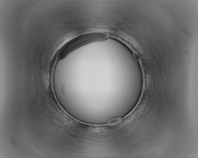 X0000110961165200906191043