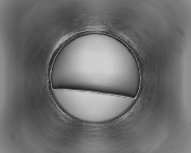 X0000110961168200906191043
