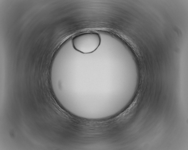 X0000110961169200906191043