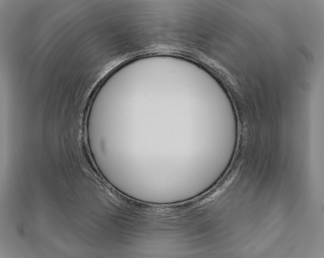 X0000110961170200906191043