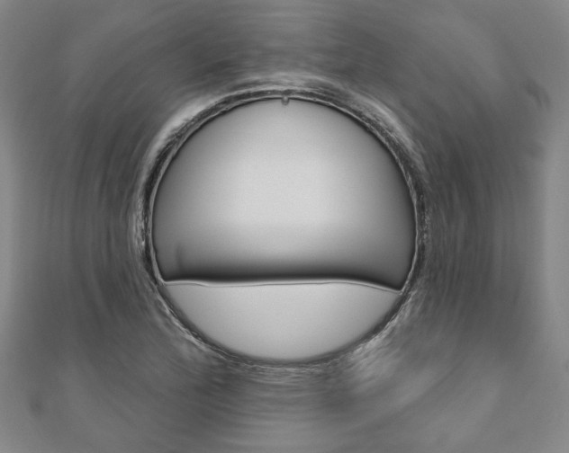X0000110961172200906191043