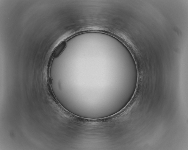 X0000110961173200906191043